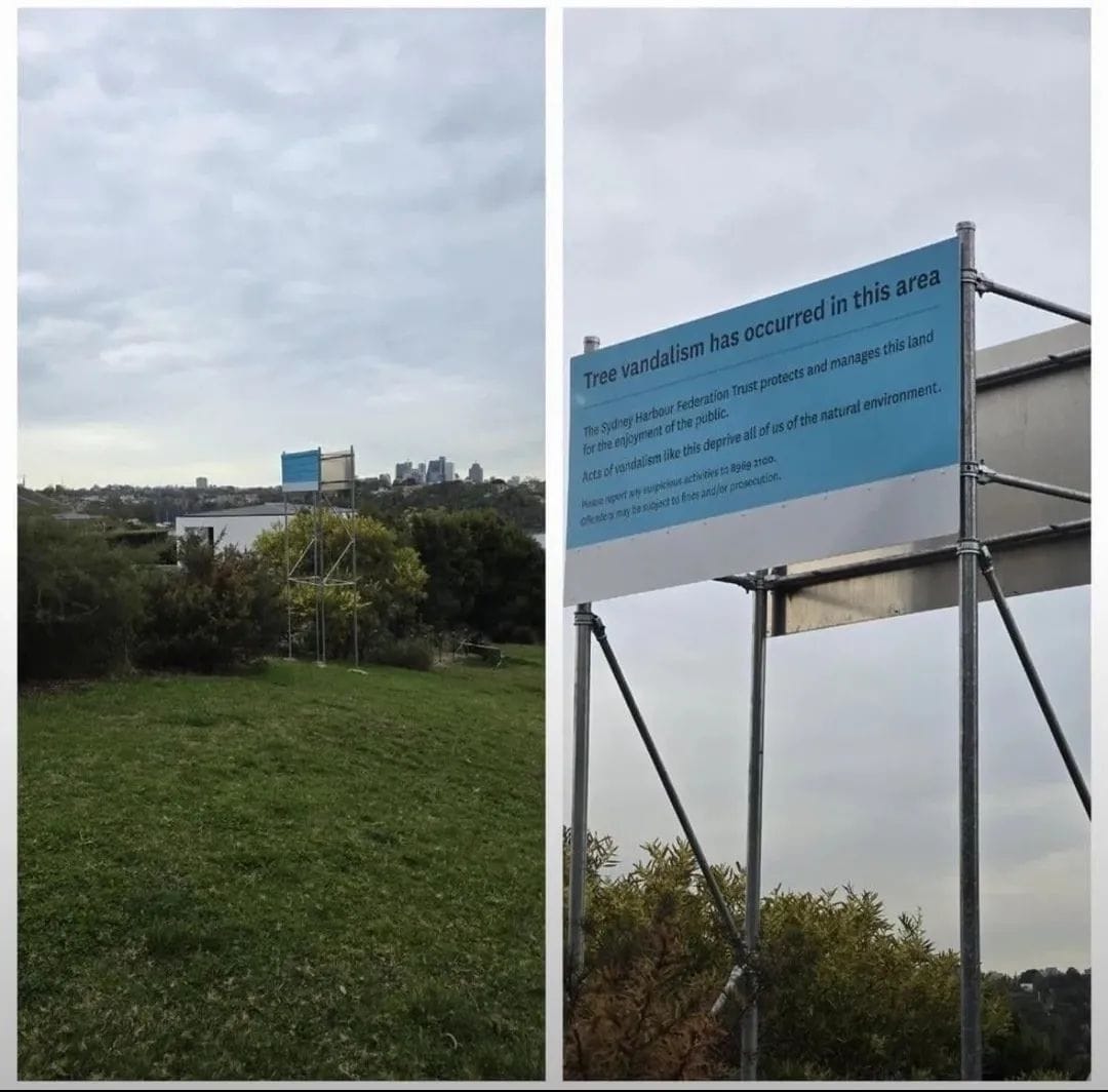 A sign mentioning illegal tree vandalism