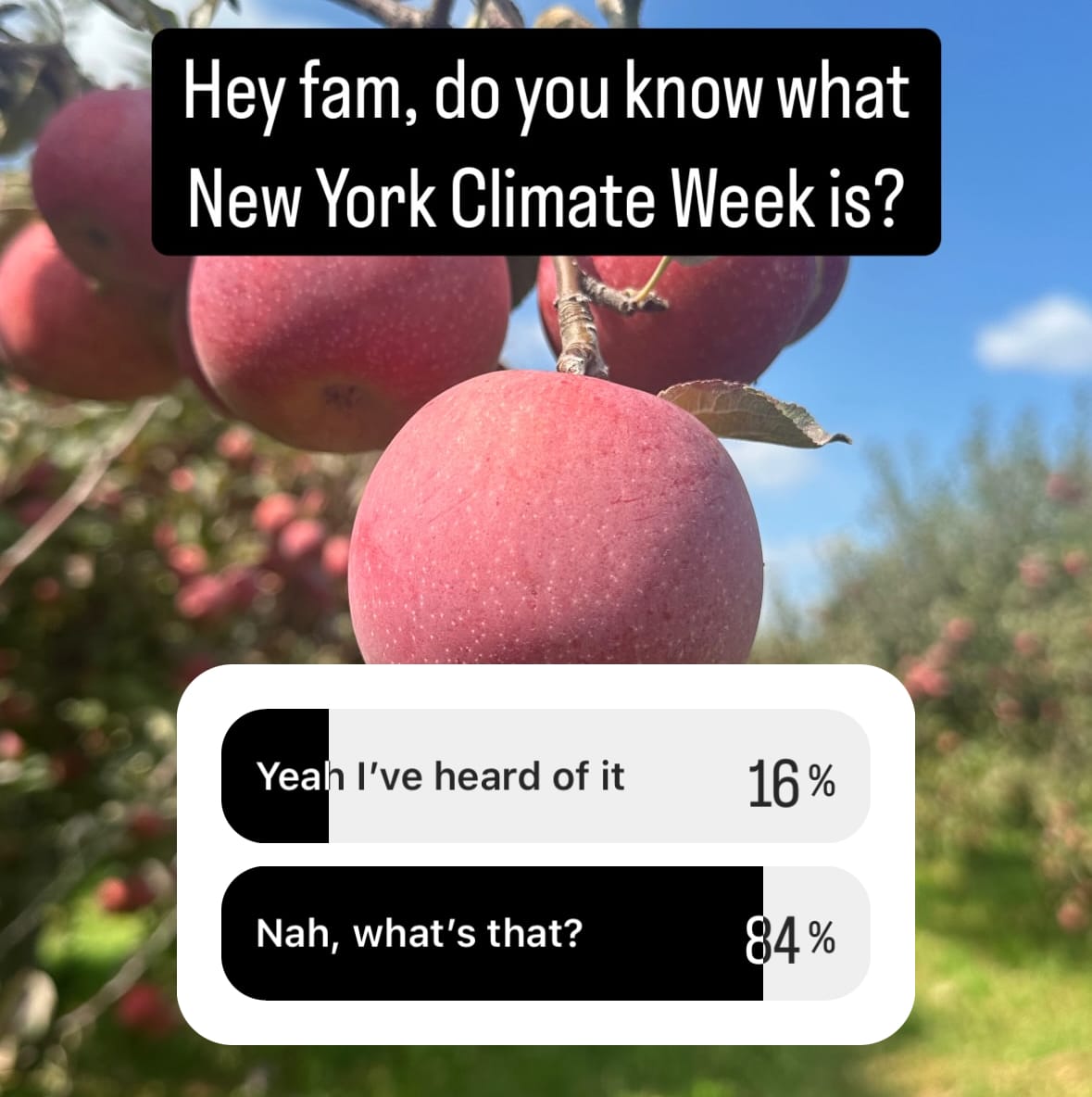 An Instagram story of an apple