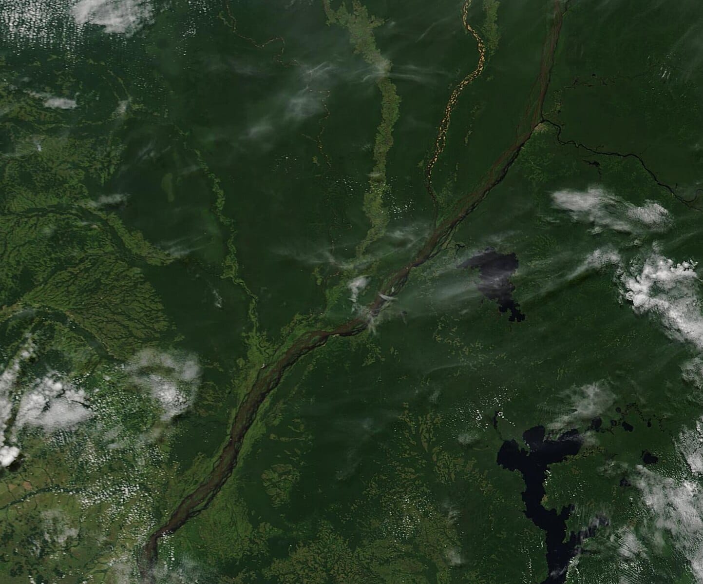 Congo Basin from space