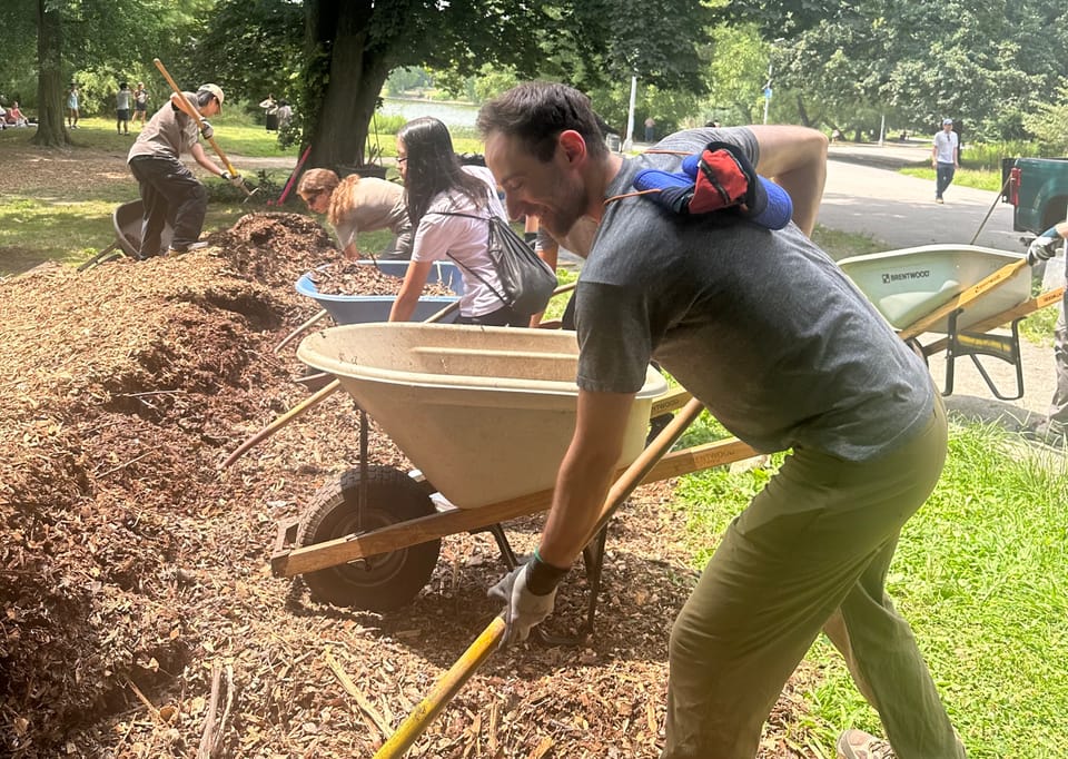 Volunteers in Prospect Park scooping mulch