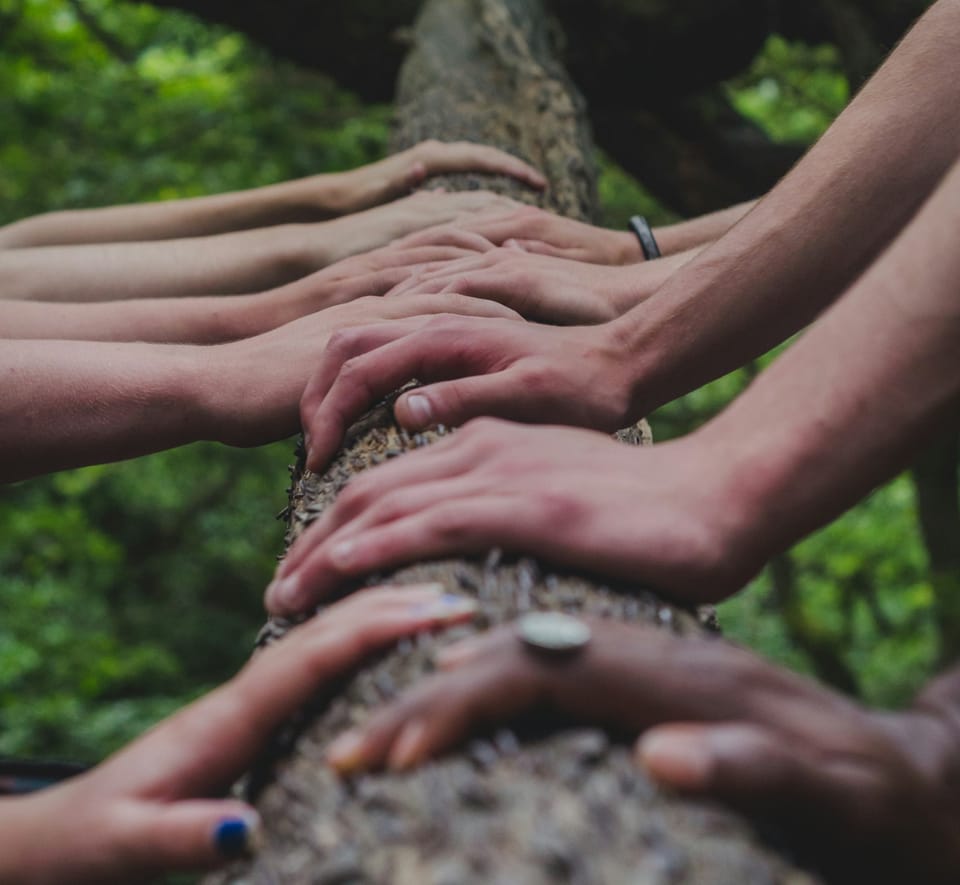 Several hands on a tree trunk